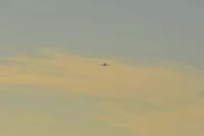 DSC_5689 (Large).JPG